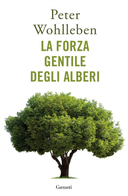 forza gentile degli alberi