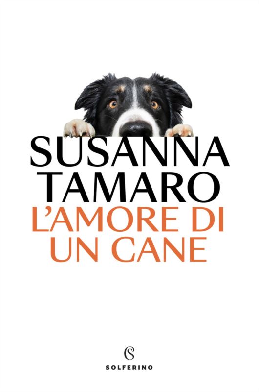 amore di un cane