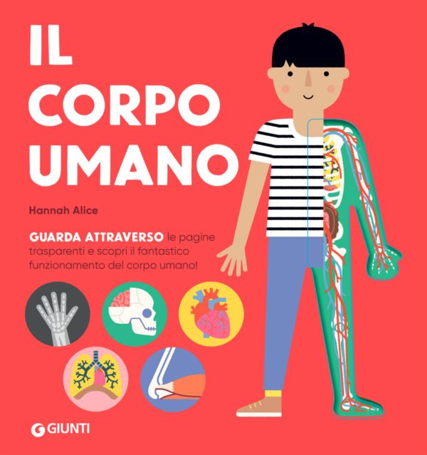corpo umano