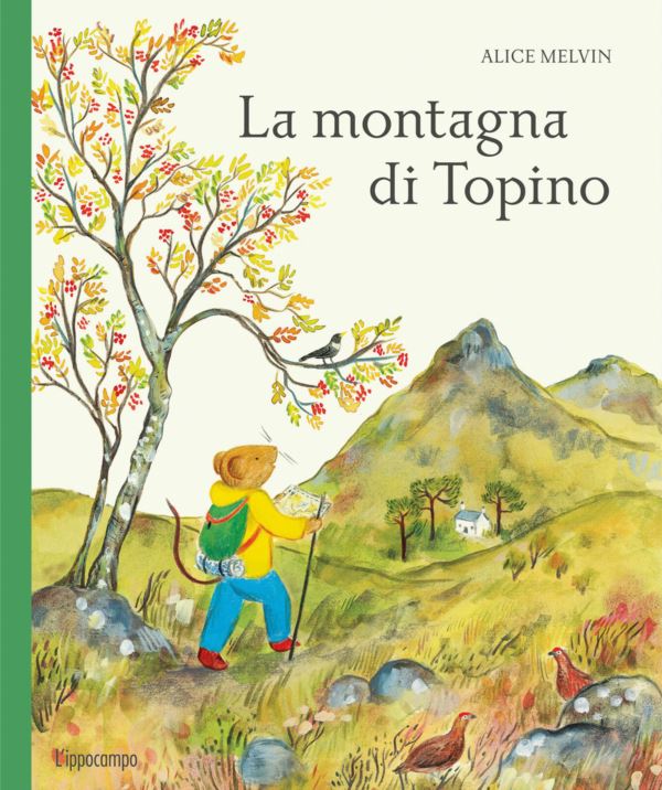 montagna di Topino